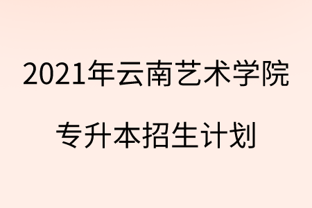 2021年云南藝術學院專升本招生計劃.png