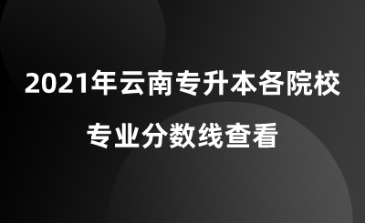 2021年云南專升本各院校專業分數線查看.png