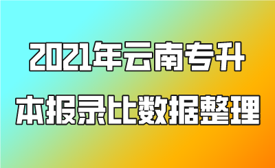 2021年云南專升本報錄比數據整理.png