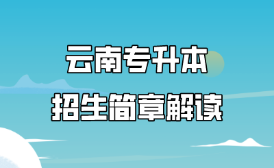 云南專升本招生簡章解讀.png