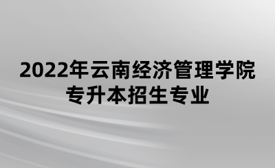 2022年云南經(jīng)濟(jì)管理學(xué)院專(zhuān)升本招生專(zhuān)業(yè).png