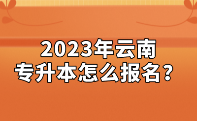 2023年云南專升本怎么報(bào)名？.png