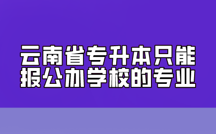 云南省專升本只能報公辦學校的專業