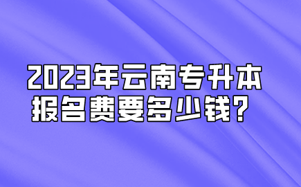 2023年云南專升本報名費