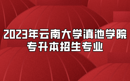 2023年云南大學滇池學院專升本招生專業