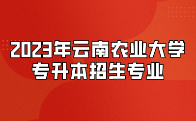 2023年云南農業大學專升本招生專業