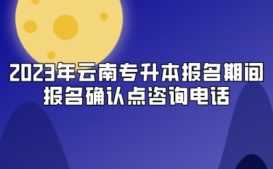 2023年云南專升本報名期間報名確認點咨詢電話