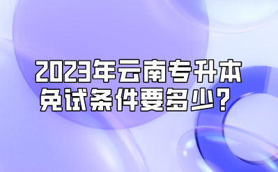 2023年云南專升本免試條件