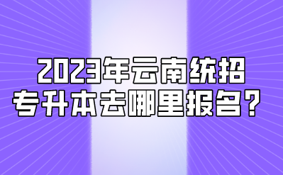 2023年云南統招專升本去哪里報名？