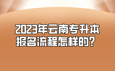 2023年云南專升本報名流程怎樣的？