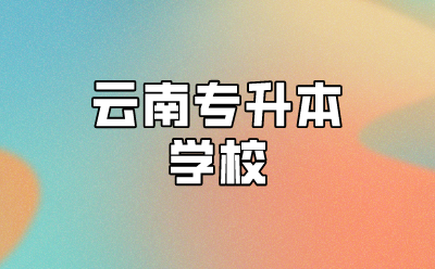 云南專升本學校