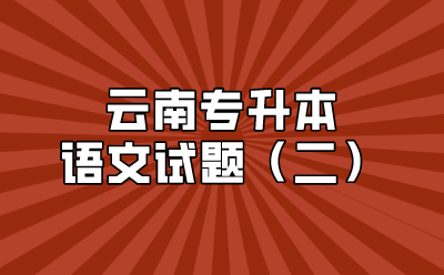 云南專升本語文試題（二）