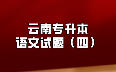 云南專升本語文試題（四）