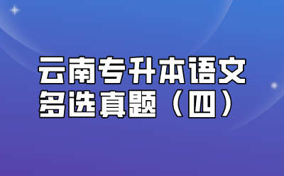 云南專升本語文多選真題（四）