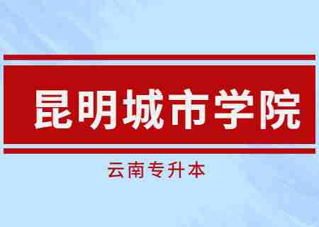 昆明城市學院2023年專升本錄取工作圓滿結束.jpg