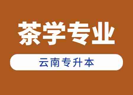 2024年云南專升本茶學專業有哪些學校？.jpg