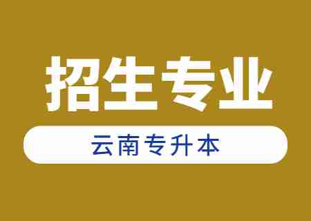 2024年云南專升本招生人數最多專業——計算機科學與技術.jpg