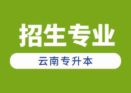 2024年云南專升本招生人數(shù)最多專業(yè)——財務管理.jpg