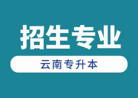 2024年云南專升本招生人數最多專業(yè)——土木工程.jpg