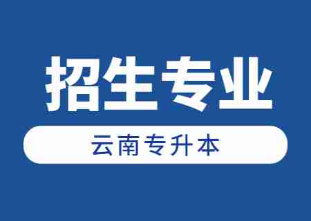 2024年云南專升本招生人數最多專業——英語.jpg