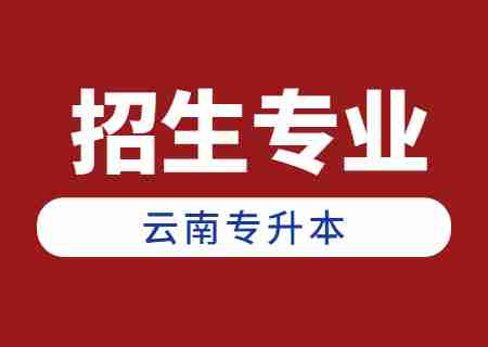 2024年云南專升本招生人數最多專業——工程造價.jpg