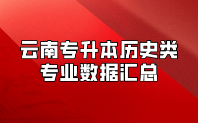 云南專升本歷史類專業(yè)數(shù)據(jù)匯總