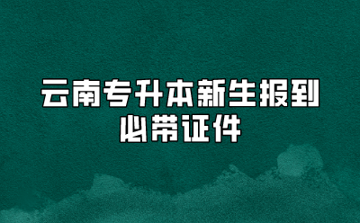 云南專升本新生報到必帶證件