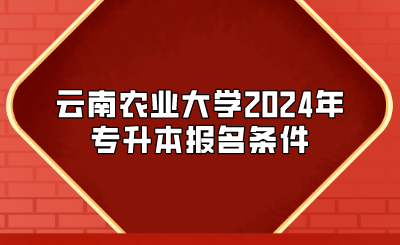 云南農業大學2024年專升本報名條件