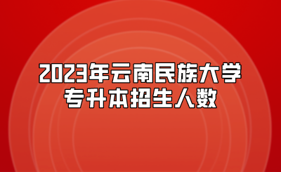 2023年云南民族大學專升本招生人數(shù)