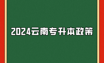 2024云南專升本政策