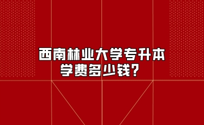 西南林業大學專升本學費