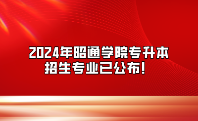 2024年昭通學院專升本招生專業