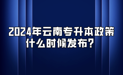 2024年云南專升本政策