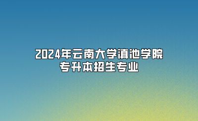 2024年云南大學滇池學院專升本招生專業