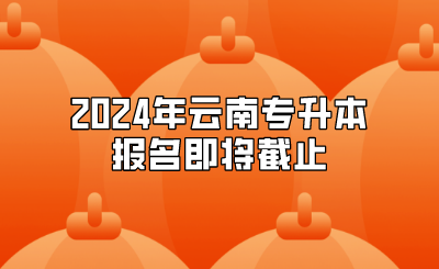 2024年云南專升本報名即將截止