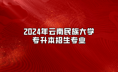 2024年云南民族大學專升本招生專業