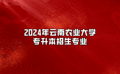 2024年云南農業大學專升本招生專業