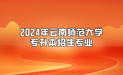 2024年云南師范大學專升本招生專業