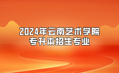 2024年云南藝術(shù)學(xué)院專升本招生專業(yè)