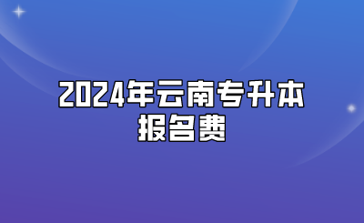 2024年云南專升本報名費