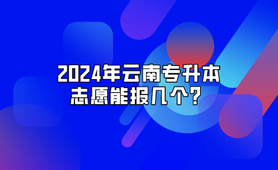 2024年云南專升本志愿