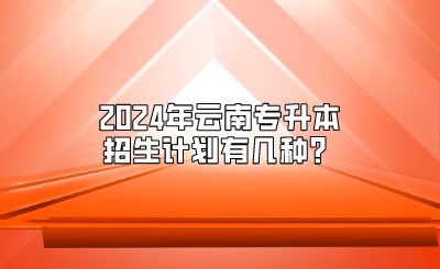 2024年云南專升本招生計劃