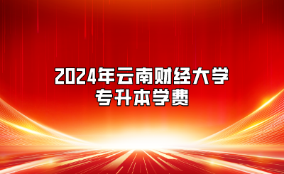 2024年云南財經大學專升本學費