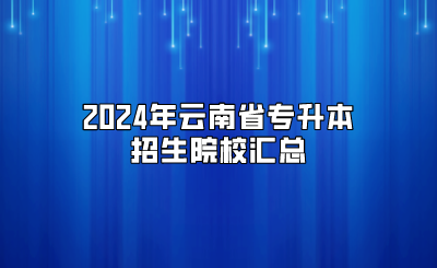 2024年云南省專升本招生院校匯總