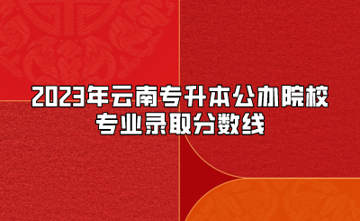 2023年云南專升本公辦院校專業錄取分數線