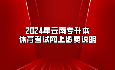 2024年云南專升本體育考試網上繳費說明