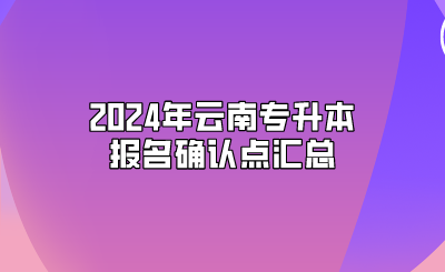 2024年云南專升本報名確認點匯總