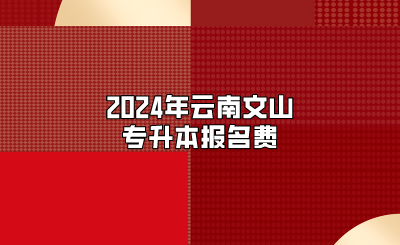 2024年云南文山專升本報名費