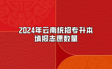 2024年云南統(tǒng)招專升本填報志愿數(shù)量