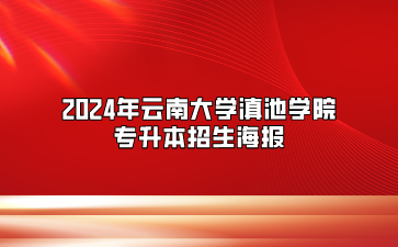 2024年云南大學(xué)滇池學(xué)院專(zhuān)升本招生海報(bào)